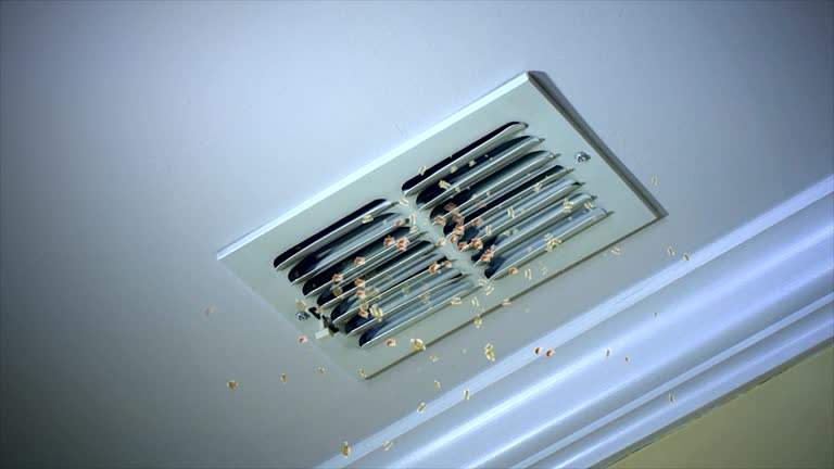 Best Commercial HVAC Duct Cleaning  in Tenaha, TX