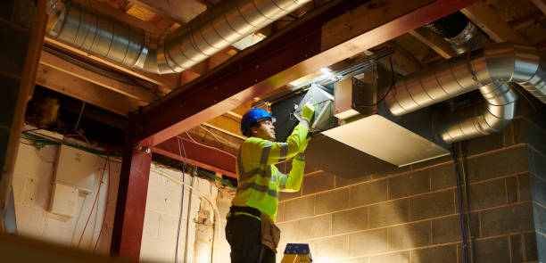 Best Air Vent Cleaning Services  in Tenaha, TX