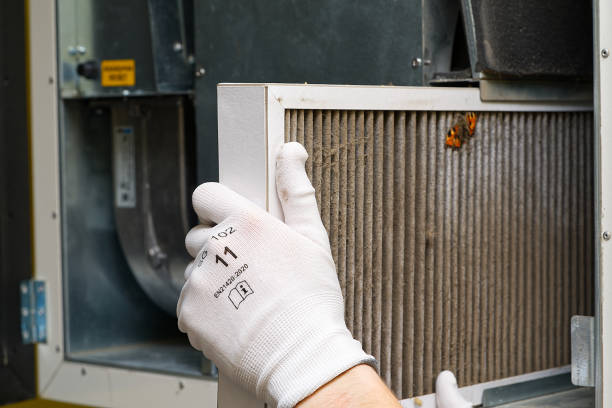 Best Air Duct Cleaning Near Me  in Tenaha, TX